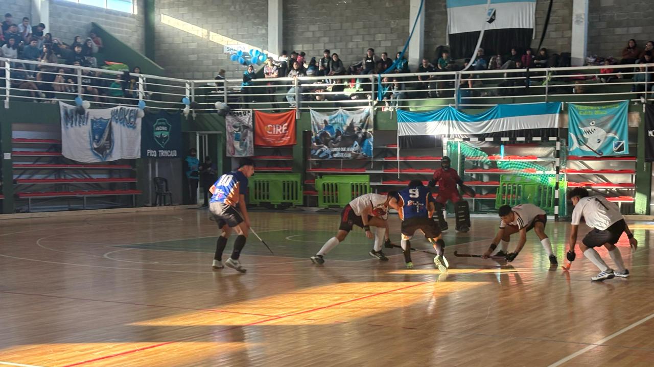 Se realizó con éxito el Torneo Aniversario del Club Amigos de Hockey