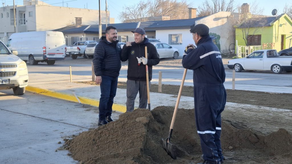 Avanza la colocación de césped en espacios públicos