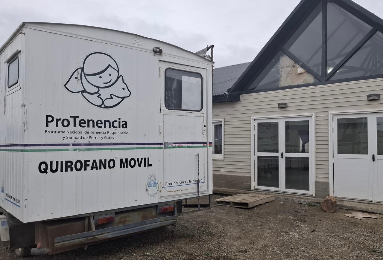 Culminó el operativo de esterilización en el barrio Rotary 23