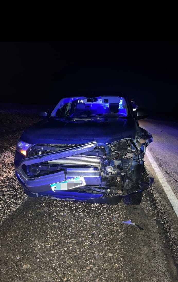 Rescate vehicular en Ruta Nacional Nº 3: una camioneta colisionó con un guanaco